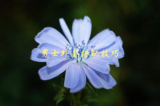 男士外套搭配技巧，如何让你的穿搭更有品味-1