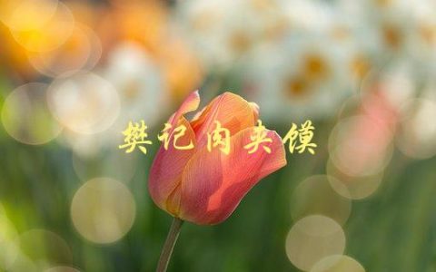 樊记肉夹馍(如何制作正宗的陕西小吃)