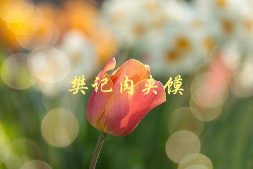 樊记肉夹馍(如何制作正宗的陕西小吃)-1