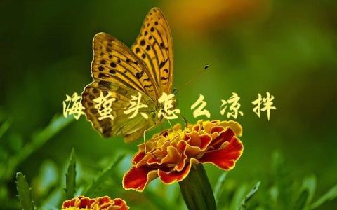 海蜇头怎么凉拌(简单易学的家常做法)