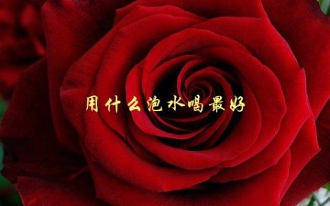 用什么泡水喝最好，茶叶、花草、水果？