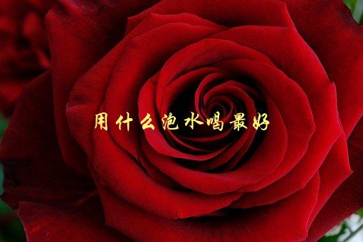 用什么泡水喝最好，茶叶、花草、水果？-1