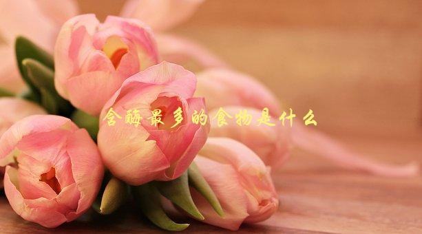含酶最多的食物是什么，让你的身体更健康-1