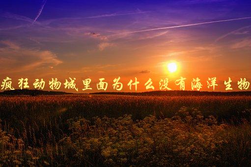 疯狂动物城里面为什么没有海洋生物，探究电影中的动物选择-1