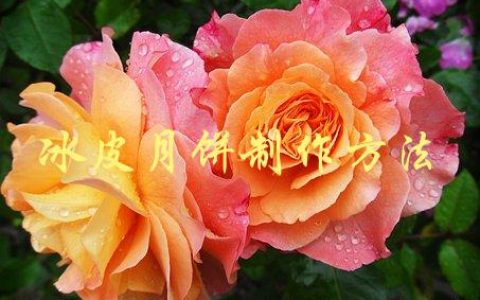 冰皮月饼制作方法(详细步骤分享)