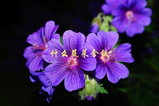 什么蔬菜含铁，让你的饮食更健康-1