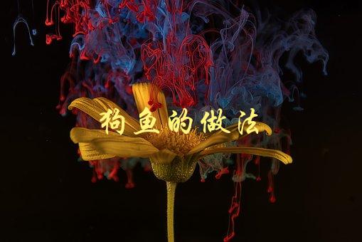 狗鱼的做法(如何烹饪出美味的狗鱼料理)-1