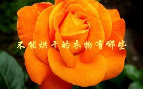 不能烘干的衣物有哪些，你知道吗？