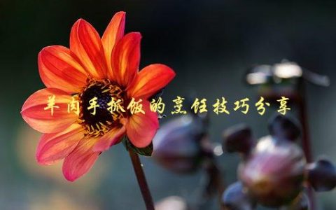 羊肉手抓饭的烹饪技巧分享，如何做出口感鲜美的手抓饭