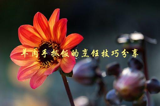 羊肉手抓饭的烹饪技巧分享，如何做出口感鲜美的手抓饭-1