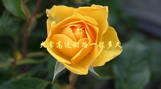 大雾高速封路一般多久，封路时间和解封时间是多少-1