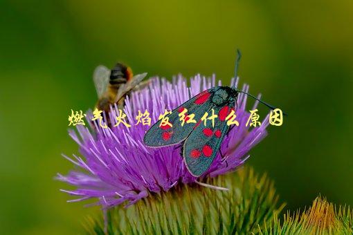 燃气火焰发红，是什么原因造成的-1