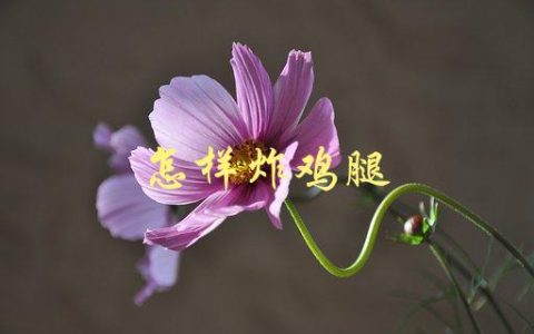 怎样炸鸡腿(让你的家庭美食更加美味)