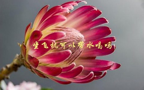 坐飞机可以带水喝吗，安检和机舱内注意事项