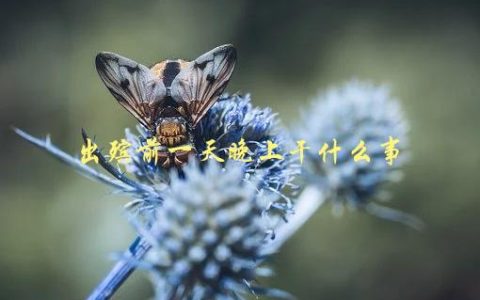 出殡前一天晚上干什么事，应该注意哪些细节