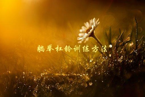 躺举杠铃训练方法，如何正确进行躺举杠铃训练-1