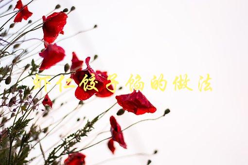 虾仁饺子馅的做法(怎样做出鲜美可口的虾仁饺子馅)-1