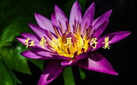 红枣银耳莲子羹(如何制作一碗营养美味的甜汤)