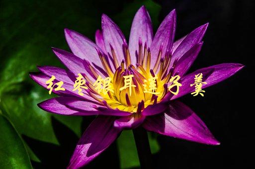 红枣银耳莲子羹(如何制作一碗营养美味的甜汤)-1