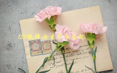 155微胖女生穿衣搭配，如何穿出时尚感与自信心