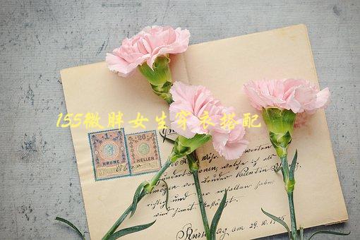 155微胖女生穿衣搭配，如何穿出时尚感与自信心-1
