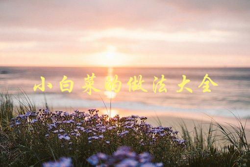 小白菜的做法大全(如何轻松做出多种美味小白菜菜品)-1