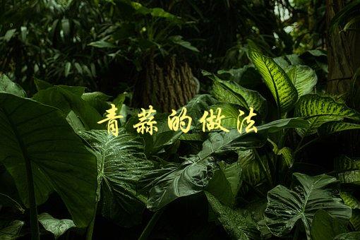 青蒜的做法(如何做出口感爽脆的青蒜料理)-1
