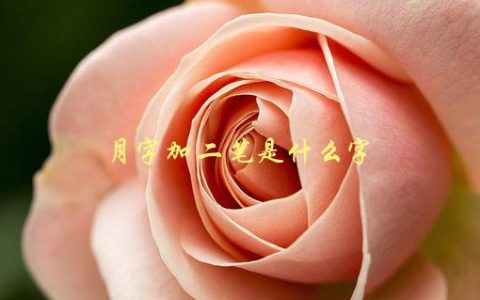 月字加二笔是什么字，请教汉字笔画小知识