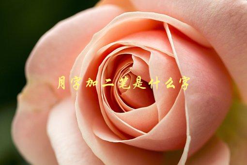 月字加二笔是什么字，请教汉字笔画小知识-1