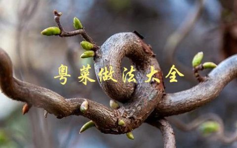 粤菜做法大全(哪些经典菜品不可错过)