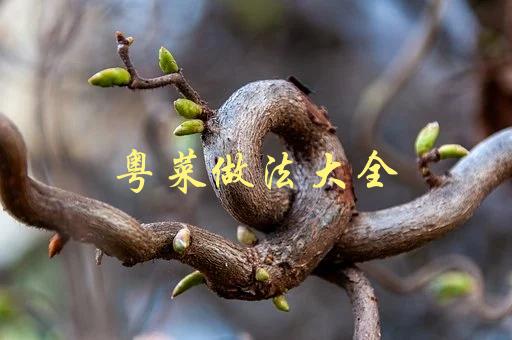 粤菜做法大全(哪些经典菜品不可错过)-1