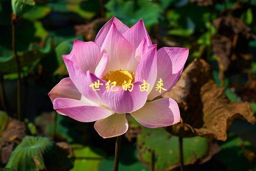 世纪的由来，什么事件标志着新世纪的开始？-1