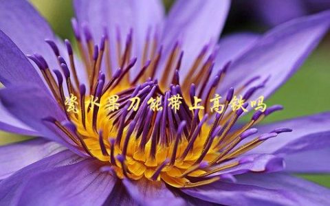 瓷水果刀能带上高铁吗，旅行必备，带刀上车前必看