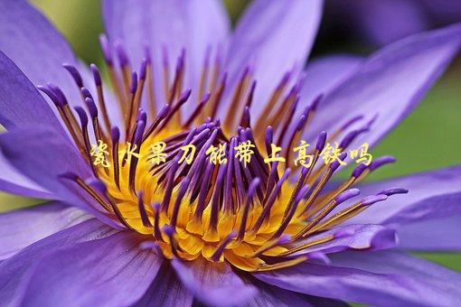 瓷水果刀能带上高铁吗，旅行必备，带刀上车前必看-1