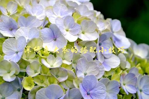深绿色大衣的搭配小技巧，如何让你的造型更时尚-1