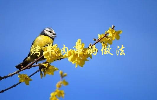 烤羊肉串的做法(怎样让羊肉串更加美味可口)-1
