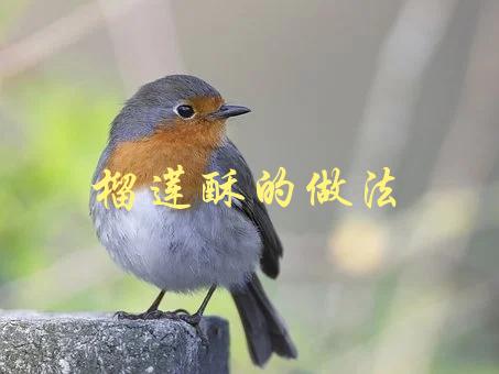 榴莲酥的做法(怎样轻松制作美味可口的榴莲酥)-1