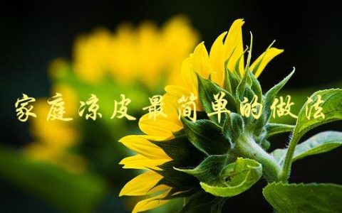 家庭凉皮最简单的做法(怎样轻松制作美味凉皮)