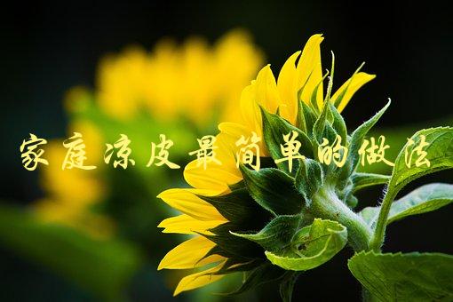 家庭凉皮最简单的做法(怎样轻松制作美味凉皮)-1