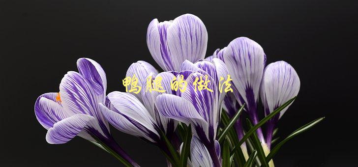 鸭腿的做法(如何让它酥脆多汁)-1