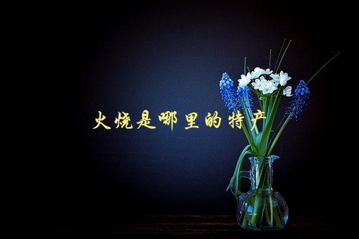 火烧是哪里的特产，来自哪个地方的美食-1
