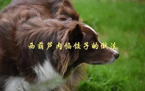 西葫芦肉馅饺子的做法，如何制作美味的家常饺子