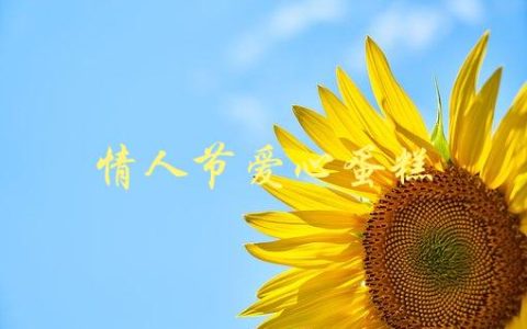 情人节爱心蛋糕(如何制作美味又浪漫的蛋糕)