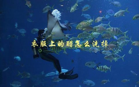 衣服上的醋怎么洗掉，有效的清洗方法有哪些