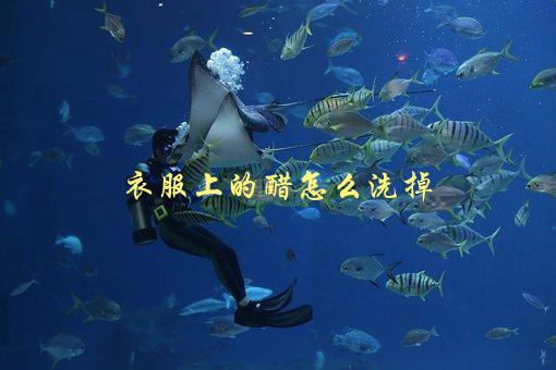 衣服上的醋怎么洗掉，有效的清洗方法有哪些-1