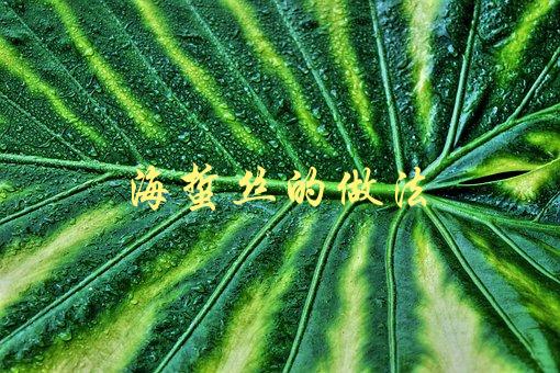 海蜇丝的做法(怎样简单易学地制作美味海蜇丝)-1