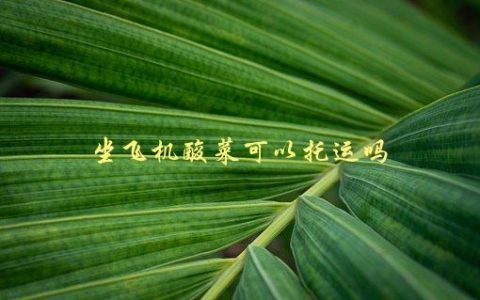 坐飞机酸菜可以托运吗，详细解答