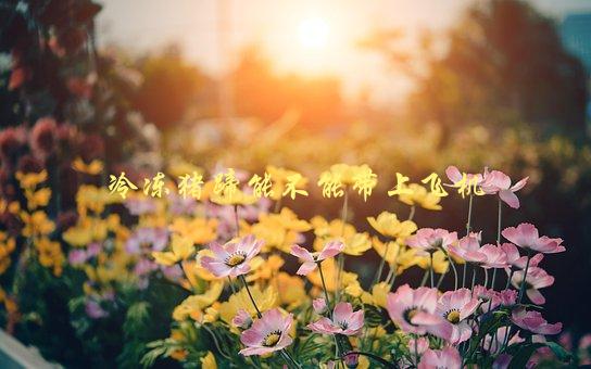 冷冻猪蹄能不能带上飞机？，详细的安检规定解析-1