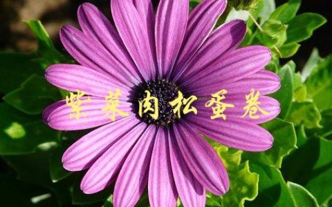 紫菜肉松蛋卷(怎样做出美味又健康的早餐)