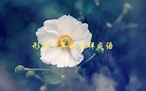 形容牛年的吉祥成语，有哪些值得收藏